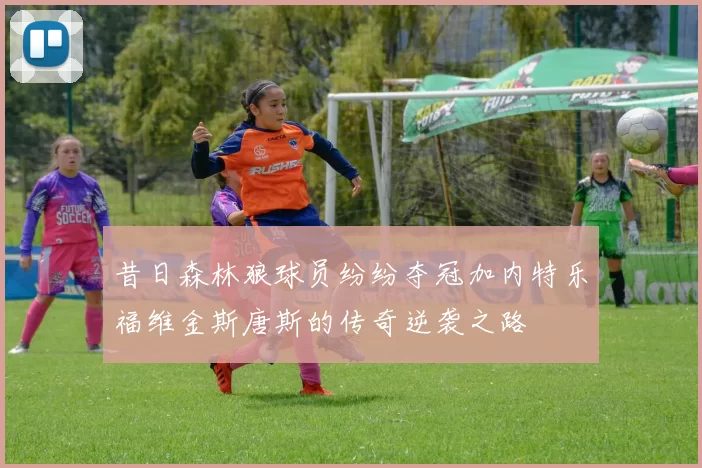 昔日森林狼球员纷纷夺冠加内特乐福维金斯唐斯的传奇逆袭之路