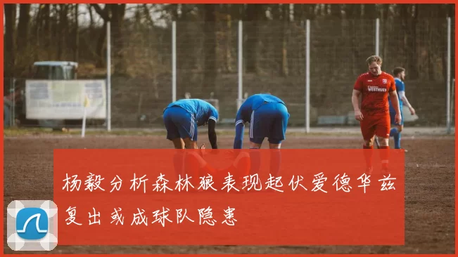 杨毅分析森林狼表现起伏爱德华兹复出或成球队隐患